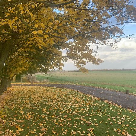 Oak Cottage At Gravel Farm Stretham ภายนอก รูปภาพ