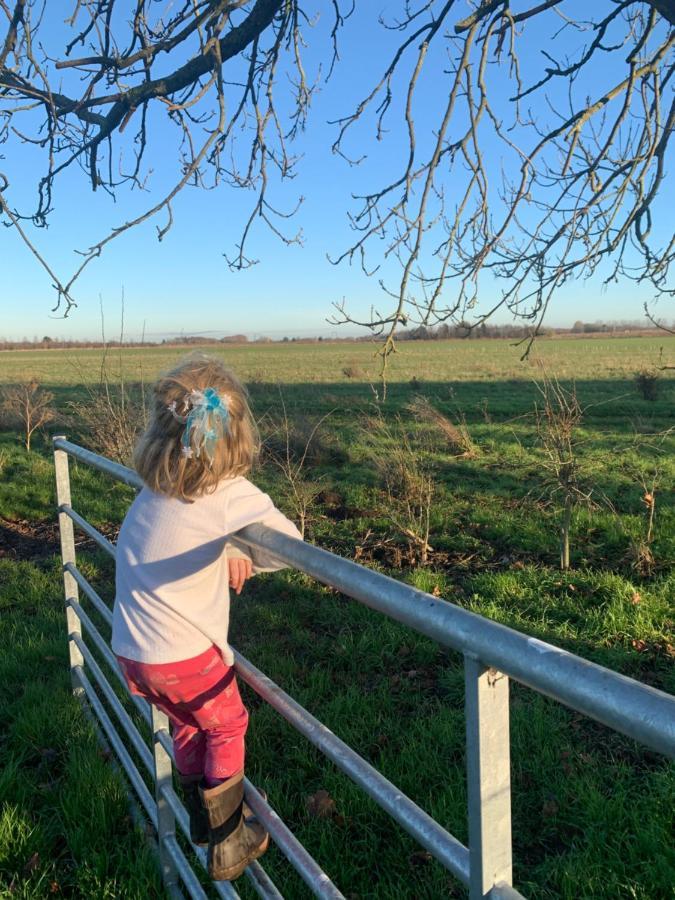 Oak Cottage At Gravel Farm Stretham ภายนอก รูปภาพ